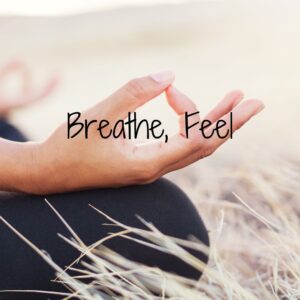 breathe feel introduction to meditation & audio